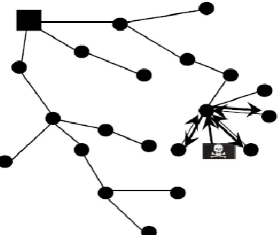 Fig. 4 Example of warm-hole attack  