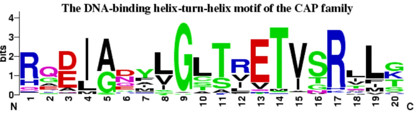Figure 2.4: (a) Two possible alignments of the DNA sequence ATTA with the DNA sequence GAT- GAT-TACA