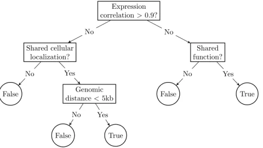 Figure 2.8: A hypothetical decision tree for deciding whether a pair of proteins interact [21].