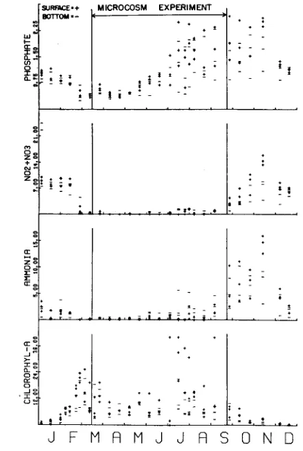 Fig. 8: Range of chlorophyll a and ammonia values found in biweekly samples of surface and bottom water at stations F, G, H in the lower West Passage of Narragansett Bay from Au- 