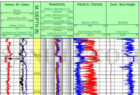 Figure 1.1: Example of a well log report. Each line represents a different geophysical measurement, as outlined in the image header