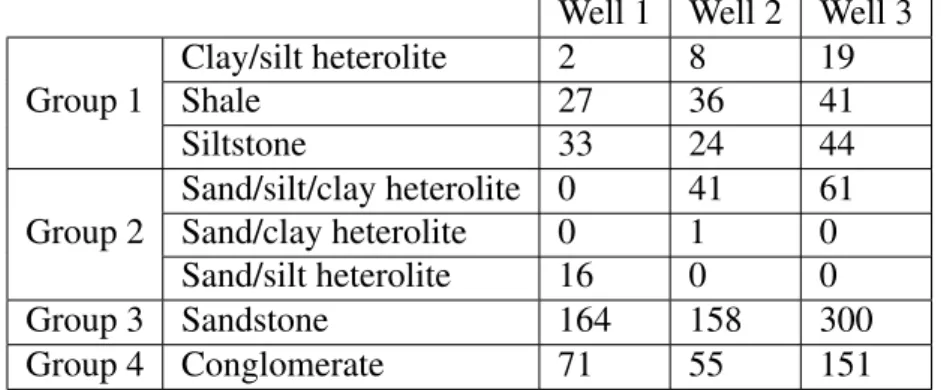 Table 6.1: This table shows the number of samples for each lithology in the three wells chosen for the test case.