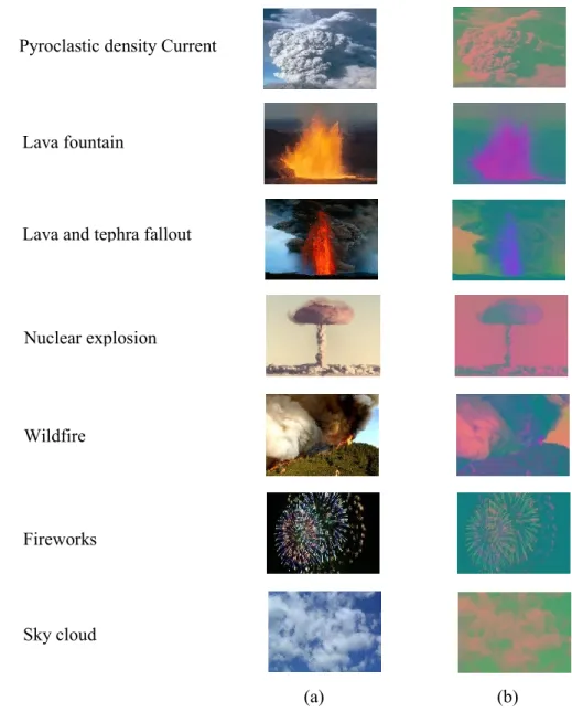 Figure 5.2 (a) Input color image of 64×64 pixels of RGB components; (b) The corresponding  YCbCr  output  image  of  64×64  pixels