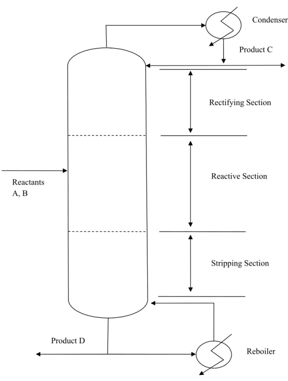 Figure 1.1: Schematic Representation of a Reactive Distillation Column Reactive Section Product D Reactants A, B  Product C Rectifying Section Stripping Section  Reboiler  Condenser 