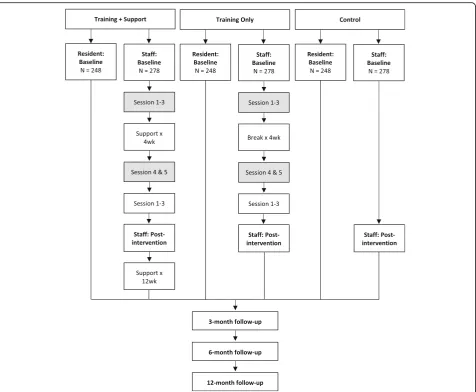 Fig. 1 Flow chart of staff recruitment, baseline, roll out of the program, post-intervention and follow-up
