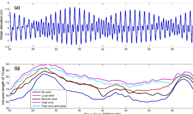 Figure 6. Comparison of 50 h averaged salinity contours for Cases 1 and 2. Panel (a) shows the bottom salinity during a spring tide, whilepanel (b) shows the surface salinity during the spring tide