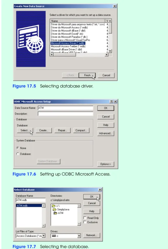 Figure 17.5 Selecting database driver.