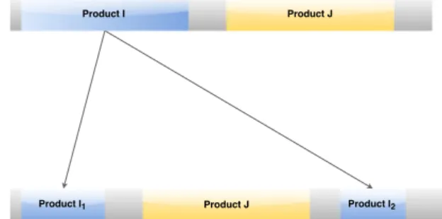 Fig. 3. Conceptual instance of product duplication due to production discruption. 