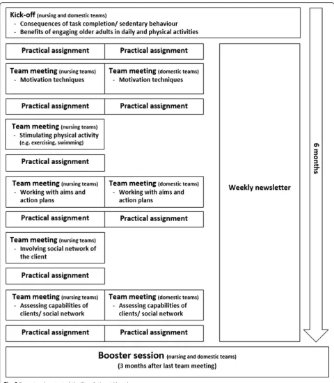 Fig. 2 Format and content of the ‘Stay Active at Home’ programme