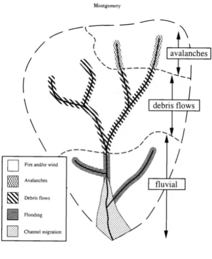 Figure 5: Schematic of watershed scale processes domains in a mountain catchment, creditMontgomery (1999).