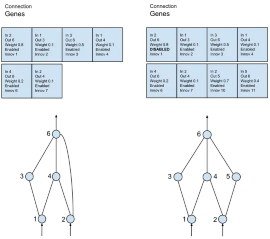 Figure 11: Example of add node mutation. Left hand side illustrates the original ANNgenotype and phenotype, while right hand side illustrates ANN genotype andphenotype after structural mutation.