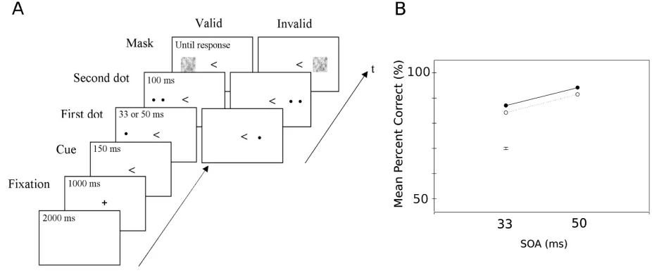 Figure 1.2 ​: Spatial cueing can increase temporal resolution. A        ​ Paradigm used to assess    