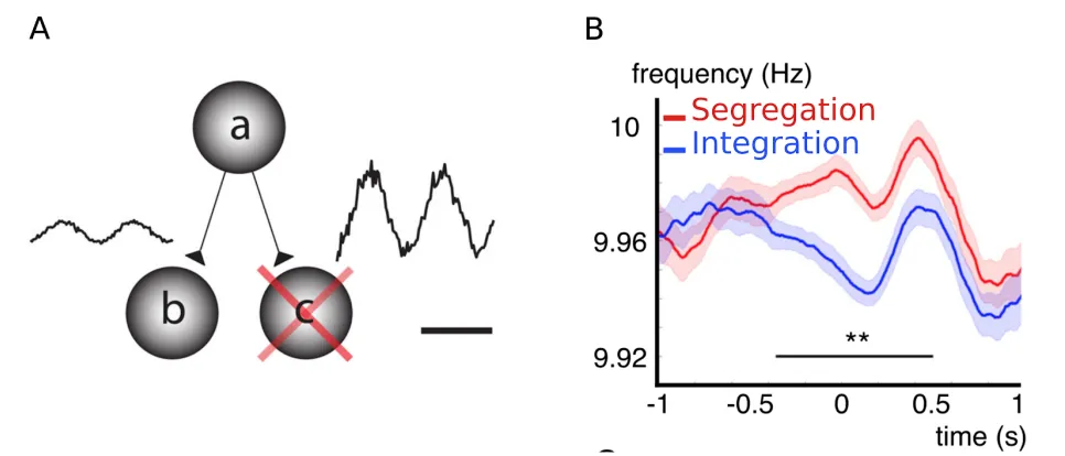 Figure 3​ . The complementary alpha 