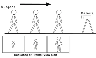 Fig. 2.Filming situation of frontal view gait data
