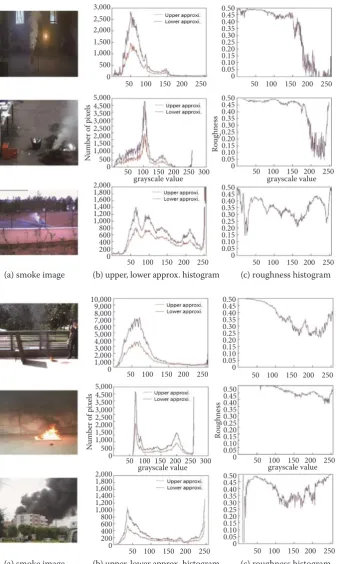 Fig. 1. Rough representation of white smoke image