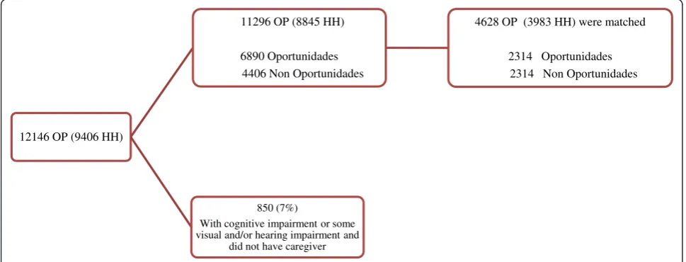 Figure 1 Population study and analytical sample. Abbreviations: OP: Older People; HH: Household.