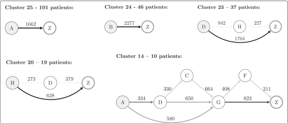 Fig. 5 Cluster Visualization. Graph representation of selected clusters based on stability measures and clinical interpretation