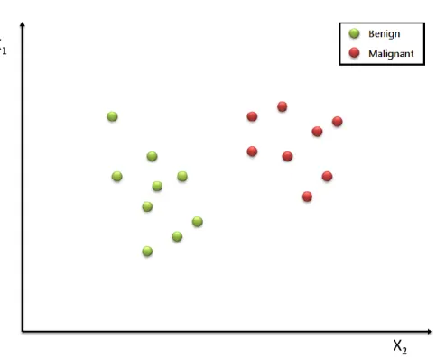 Figure 6. All the input images are red b SVM in the training phase 