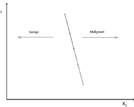 Figure 9. SVM hyperplane and defined classes 