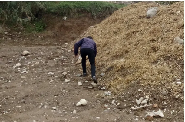 Fig. 1. General view of the study soil and treatments operation