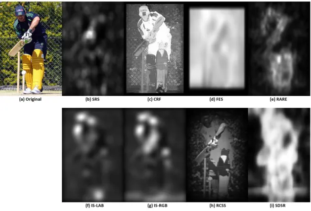 Fig. 3.1: Saliency maps generated via different models: by setting a threshold we can separate the foreground and  background easily using SDSR, without breaking the original structures