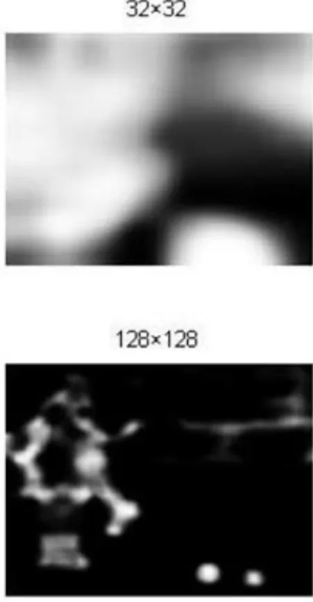 Fig. 4.2: The impact of image scale: saliency maps when input image is rescaled to different sizes