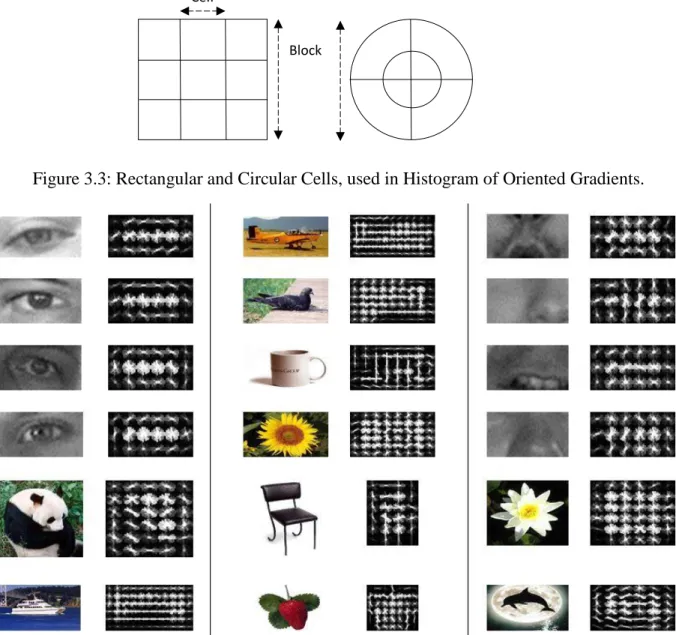 Figure 3.3: Rectangular and Circular Cells, used in Histogram of Oriented Gradients. 