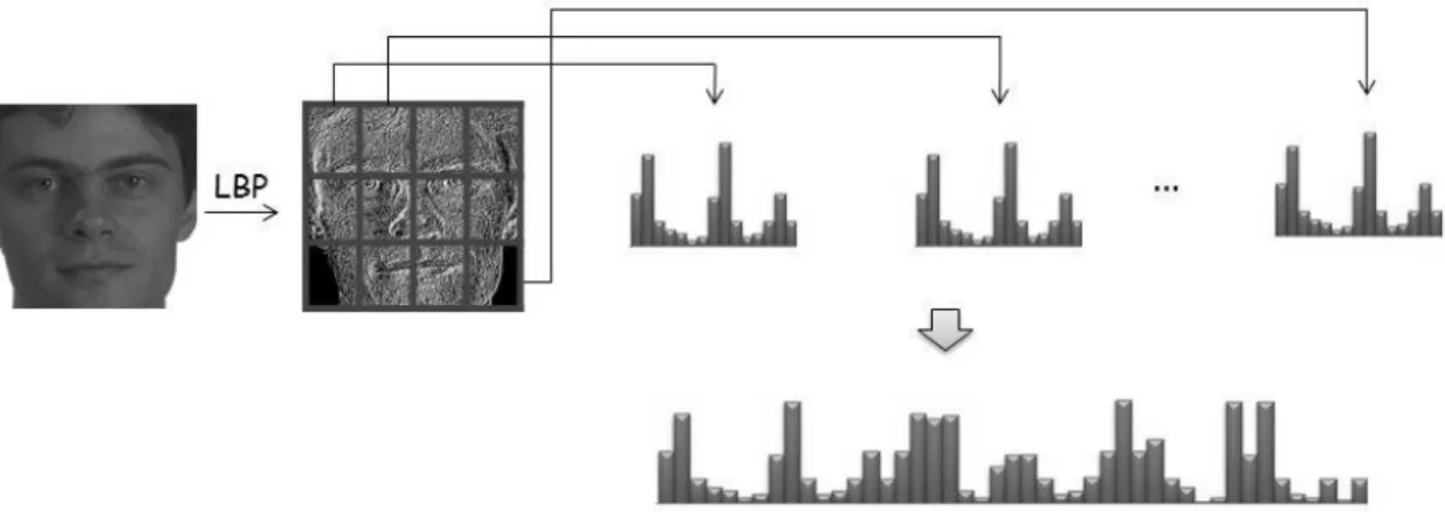 Figure 3.7: Process to create Histogram of LBP Descriptor. 