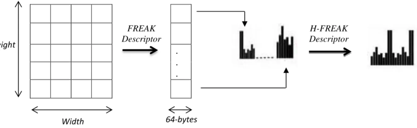 Figure 3.8: Process to create Histogram of FREAK Descriptor. 