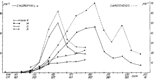 Fig. 11: Chlorophyll a concentrations for Tanks K, M, O and P total carotenoids for Tanks M, O and P (daily averages) (1973) 