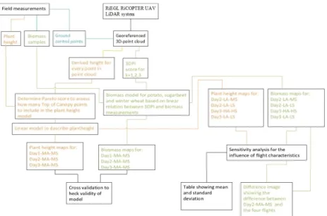 Figure 2. Overview of methodology for height and biomass retrieval from UAV-LiDAR observations  for crops