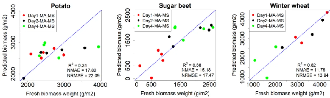 Figure 5. Scatter plots showing the relation between measured biomass and predicted for potato (k =  1), sugar beet (k = 3) and winter wheat (k = 1)