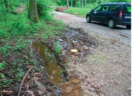 Fig. 4. Insufficient drainage – saturation of construction layers (Kuběnka forest road – profile 10)