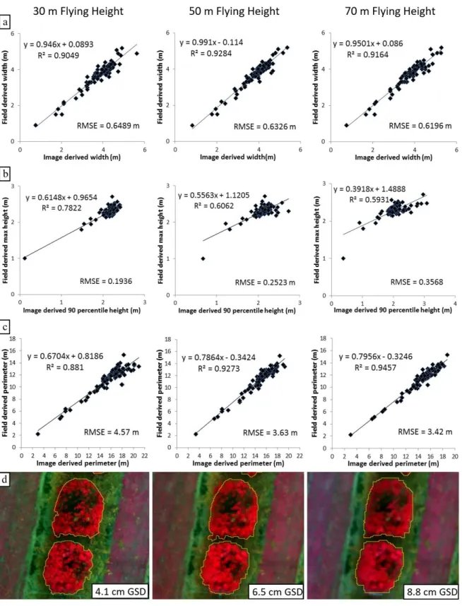 Figure 8. Relationships between field- and image-derived (a) tree crown width; (b) height and (c)  perimeter; and (d) depiction of how the increasing GSD affected the delineation of the pruned lychee  tree crowns
