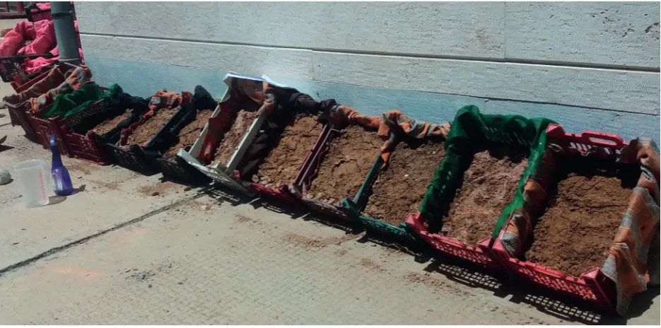 Fig. 1. Erosion control treatments used in the present study: hydroseed mix 1 (a), hydroseed mix 2 (b), prevalent mix (c)