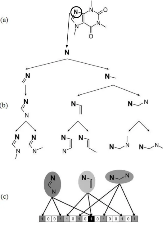Figure 9: The structuring on a Hash-Key fingerprint (Brown 2009) 