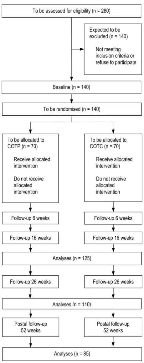 Figure 1WHEDA flow chart (planned progress)WHEDA flow chart (planned progress).
