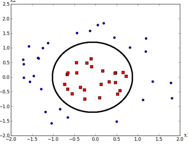 Figure 2.5 Support Vector Machine with polynomial kernel of degree 3