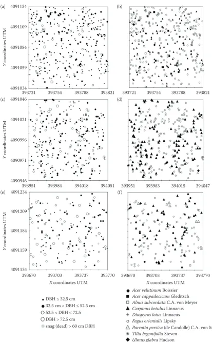 Fig. 3. Spatial patterns of trees in the initial (a, b), optimal (c, d), decay (e, f) stages by tree DBH (a, c, e) and also tree species (b, d, f)