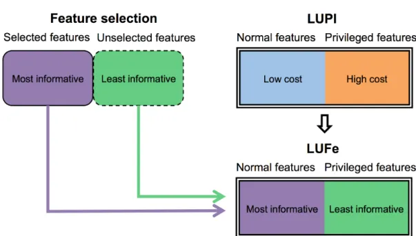 Figure 4.1: LUFe combines feature selection with the LUPI framework. Instead of being used to decide which features are used by the model, and which are discarded, feature selection is repurposed to determine two feature subsets to be used as inputs to the