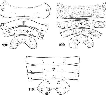 Figs I08-II0. Metasomal segments of copepod female spread out fiat with ventral regions and swimming legs removed