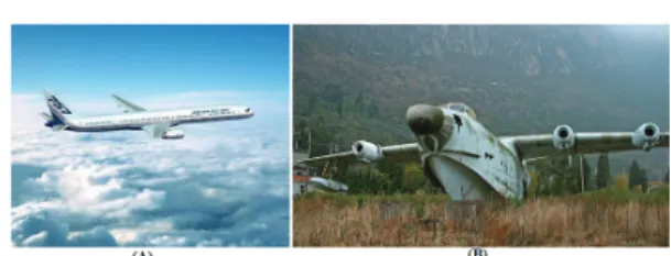 Fig. 1. An example of airplane recognition using MIL: (A) the background of “sky” provides an important context for the recognition of “airplane”, (B) the background of “mountain” is not a useful cue for the recognition of “airplane”