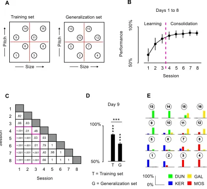Figure 2.S2 - Training results. A. Different objects are used to train participants and to test for generalization