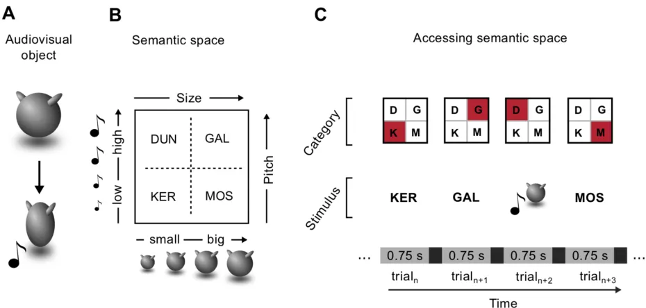 Figure 3.1 - Methods. A. Exemplar of audiovisual object. B. 16 multisensory objects are divided into 4 categories by means of abstract words: this creates a novel multisensory semantic space