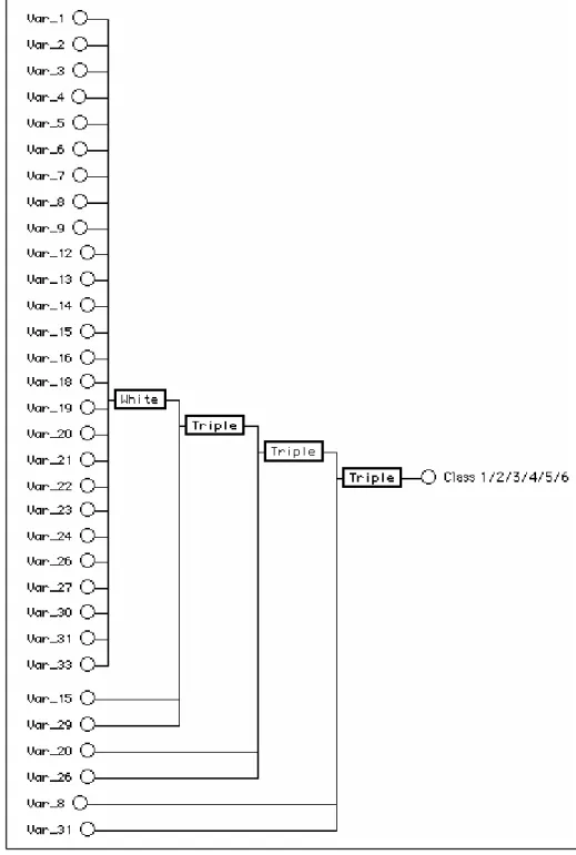 Fig. 4. Structure of the best monolithic model for classifying the dermatology dataset using CPM = 0.5