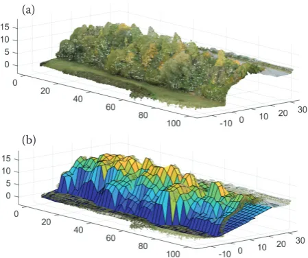 Fig. 2. Coloured point cloud of roadside planting (700,000 points) (a), point cloud with estimated ground level and pillars (2 m × 2 m at ground level) for volume calculation (b) (distances in metres)