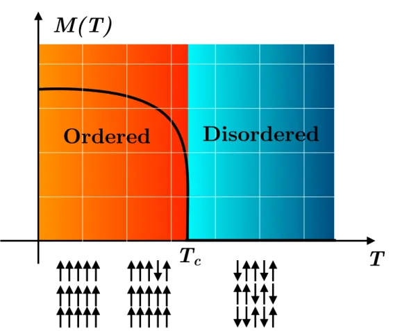 Figure 1.1: The phase diagram of the two-dimensional ferromagnetic Ising model. The magnetization order parameter (M (T )) is plotted versus the temperature