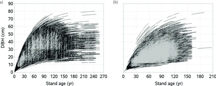 fig. 5. simulated curves overlaid on the DBH-age series of model calibration (a), validation (b) datagrey – observed growth series, black – simulated growth curves