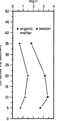 Fig. 3. Seston dry weight and ash free dry weight (Afdw) of water samples at four heights above the sediment of Kiel Bight {water depth 17 m) 