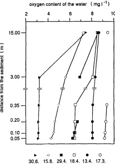 Fig. 4. Six oxygen concentration profiles from 1988. Water samples at four heights in close proximity to the sediment surface, and two additional samples 3 m and 15 m above the sediment 